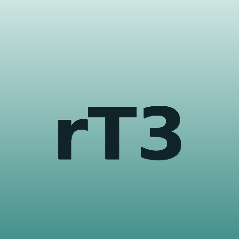 rT3