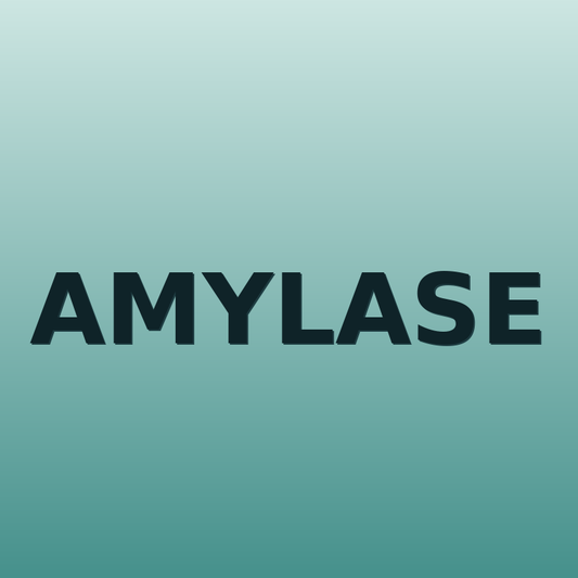 Amylase