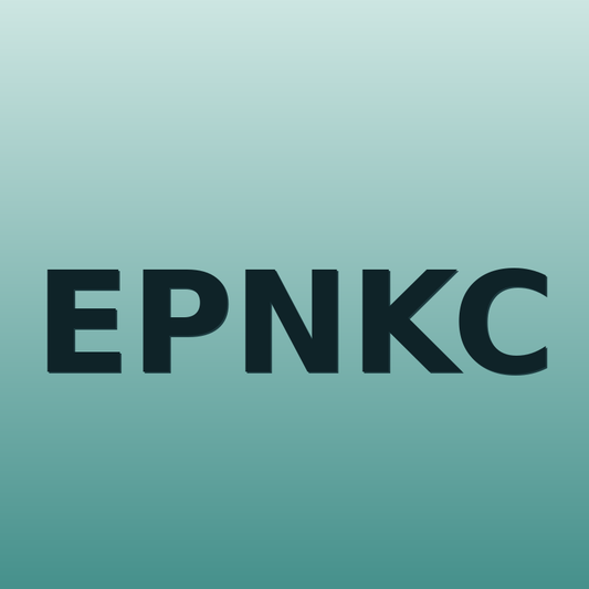 Electrolyte Panel (Na⁺, K⁺, Cl⁻)