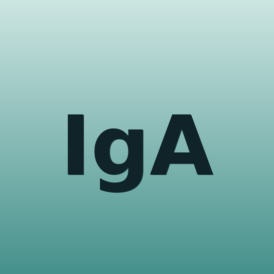 IgA
