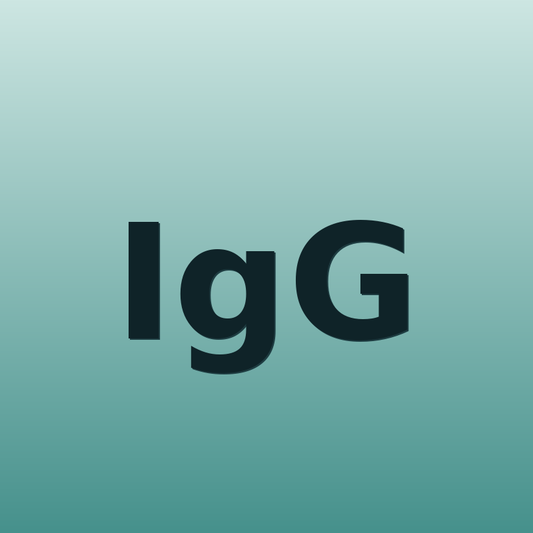 IgG