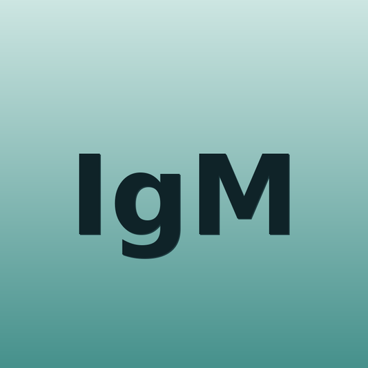 IgM