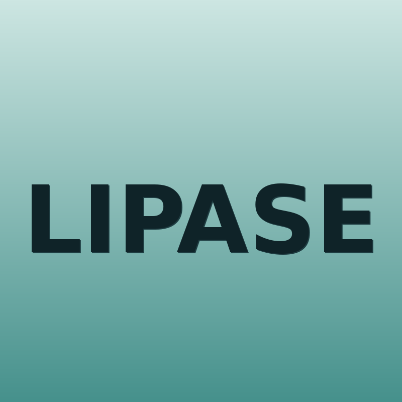 Lipase