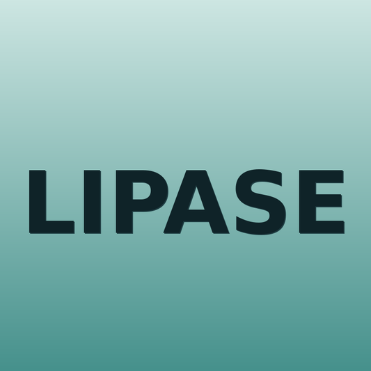 Lipase
