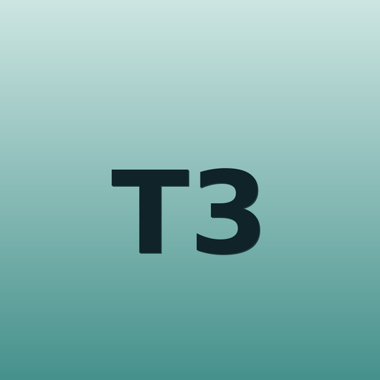 T3