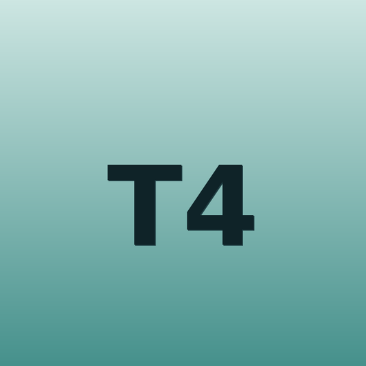 T4